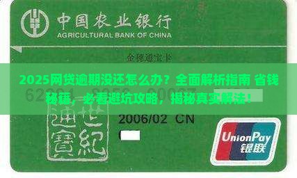 网贷逾期没有还怎么办