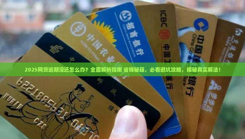 网贷逾期没有还怎么办