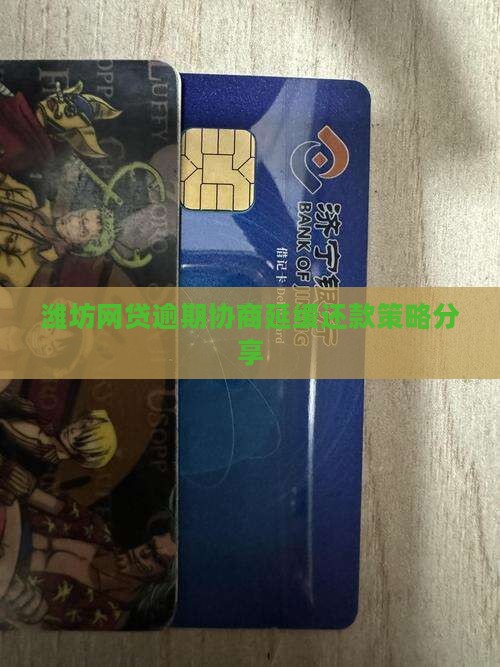 潍坊网贷逾期协商延缓还款策略分享