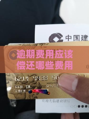 逾期还款应该偿还什么费用