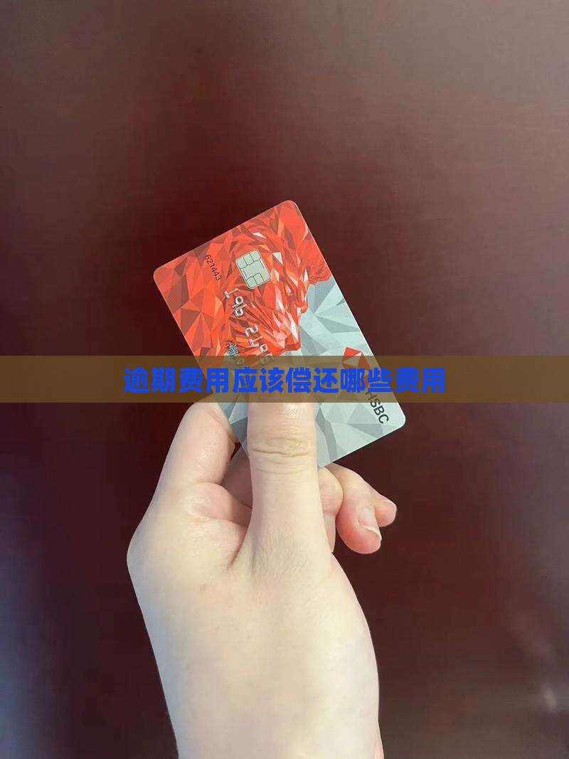 逾期还款应该偿还什么费用