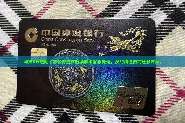 网贷5万逾期了怎么办应该赶紧联系客服处理