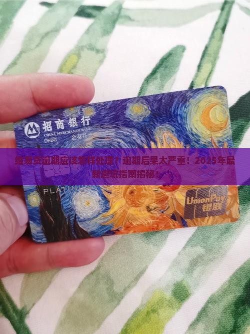 维易贷逾期应该怎样处理