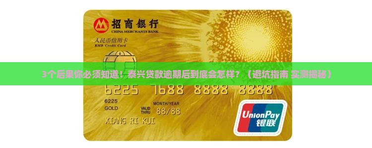 泰兴贷款逾期后会发生什么