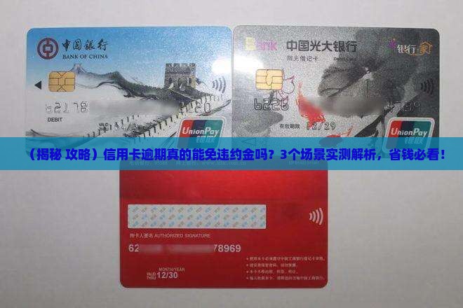 信用卡逾期是否会免除违约金