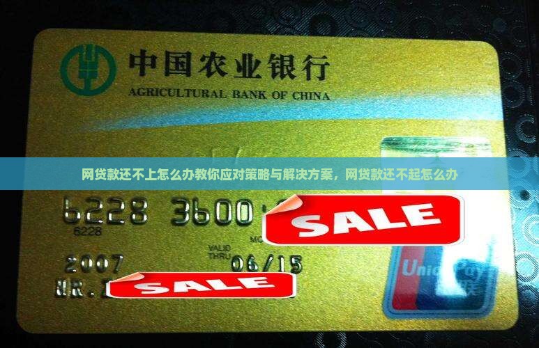 网贷款还不上怎么办教你应对策略与解决方案