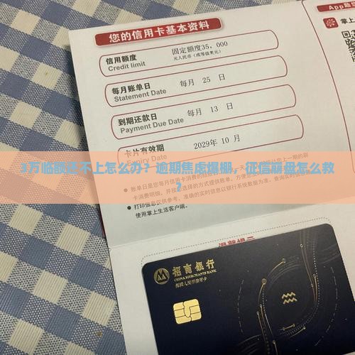 3万临额还不上怎么办