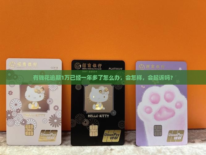 有钱花逾期1万已经一年多了