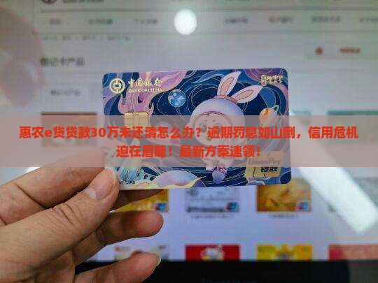 惠农e贷贷款30万未还清怎么办