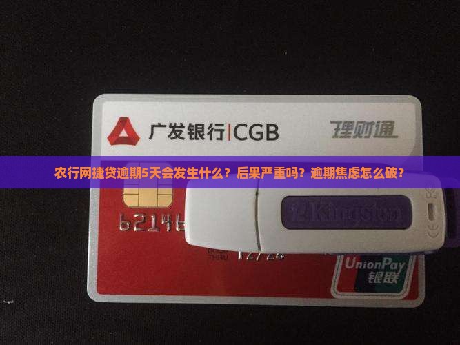 农行网捷贷逾期5天会发生什么