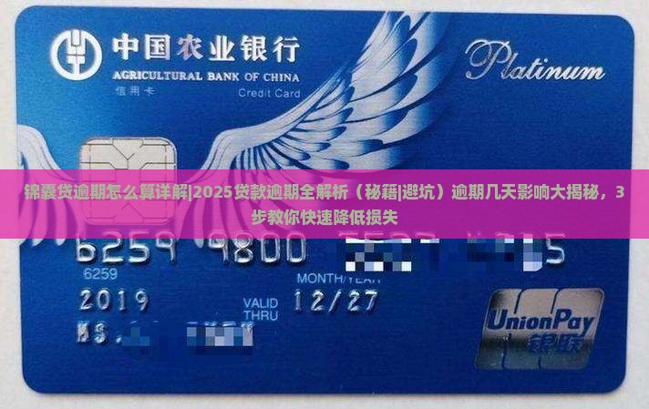 锦囊贷逾期怎么算详解