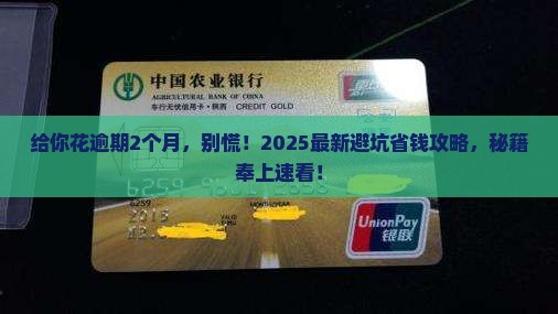 给你花逾期2个月怎么办