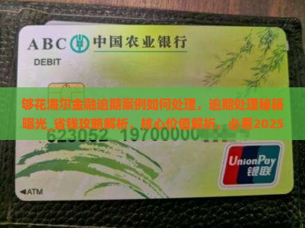 够花海尔金融逾期案例如何处理
