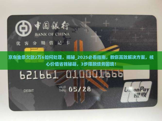 京东金条欠款2万6如何处理