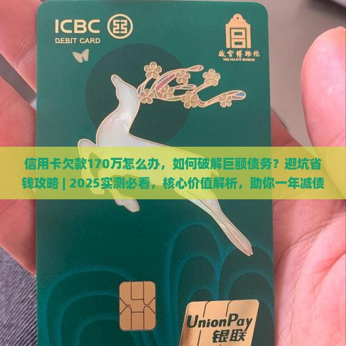 信用卡欠款170万怎么办