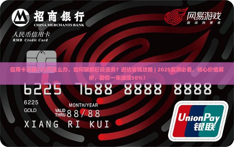 信用卡欠款170万怎么办
