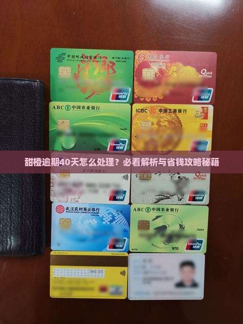 甜橙贷逾期40天怎么办
