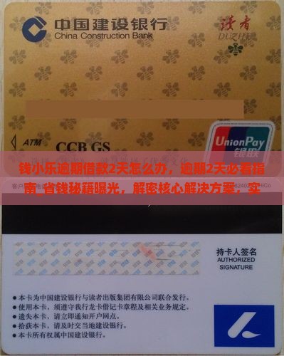 钱小乐逾期借款2天怎么办