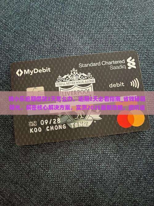 钱小乐逾期借款2天怎么办