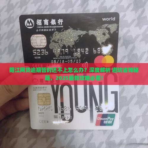 阳江网贷逾期暂时还不上怎么处理
