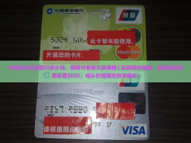 许老板欠民生银行多少钱