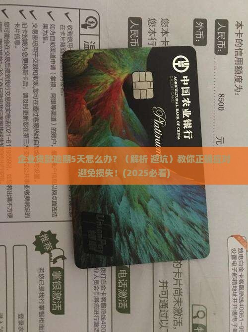 企业贷款逾期5天如何处理