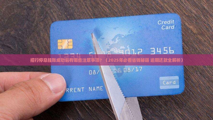 招行停息挂账成功后的注意事项