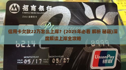 信用卡欠款22万怎么上岸