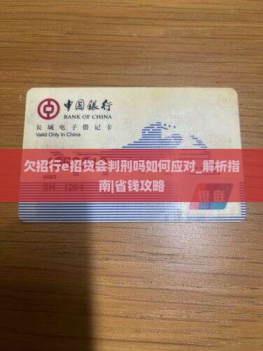 欠招行e招贷会判刑吗如何应对