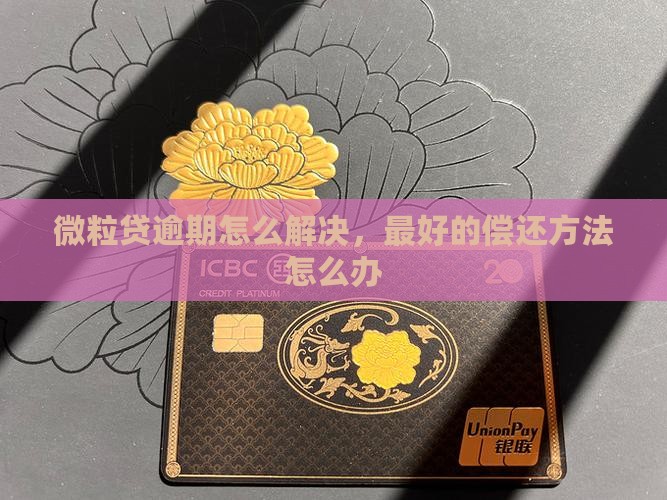 微粒贷逾期最好的解决方法是什么