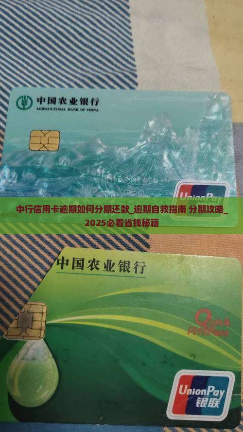 中行信用卡逾期如何分期还款