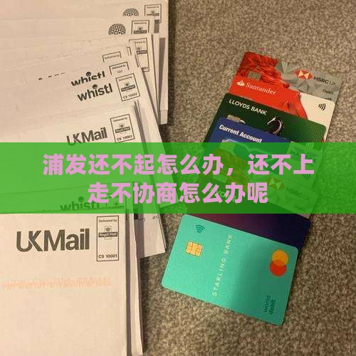 浦发还不起怎么办
