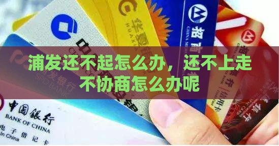 浦发还不起怎么办