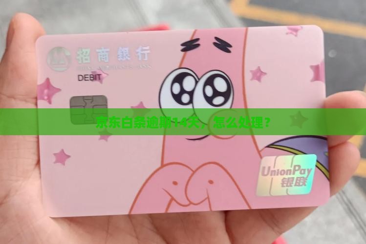 京东白条逾期14天怎么处理