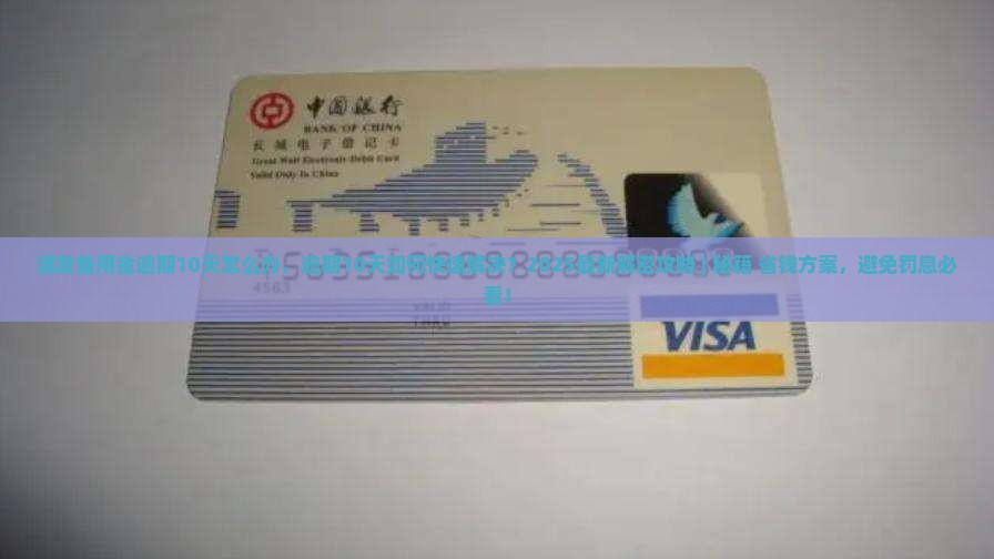 浦发备用金逾期10天怎么办