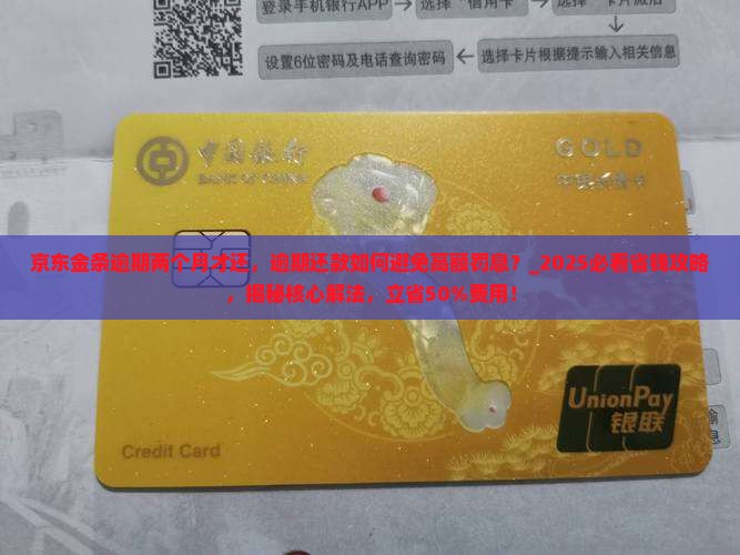 京东金条逾期两个月才还