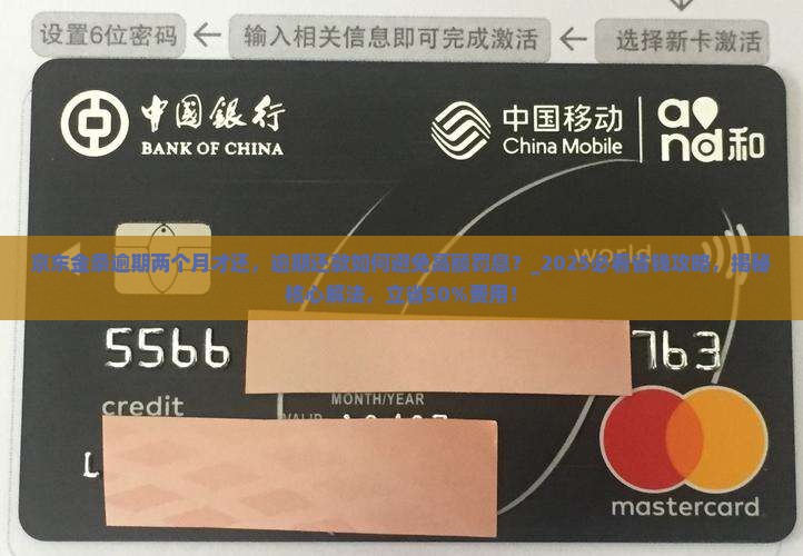 京东金条逾期两个月才还