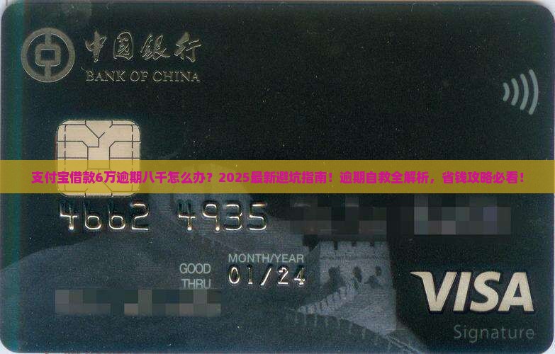 支付宝借款6万逾期八千怎么办理