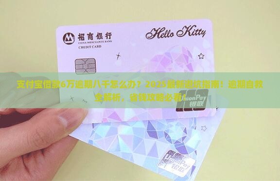 支付宝借款6万逾期八千怎么办理