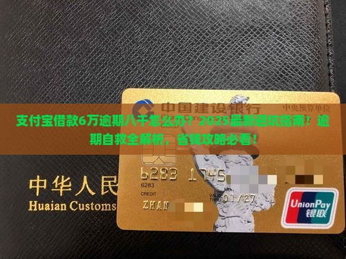 支付宝借款6万逾期八千怎么办理