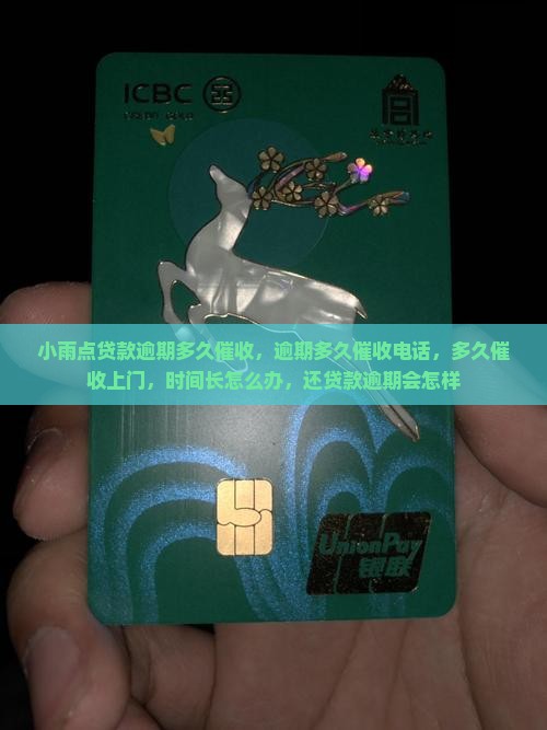 小雨点贷款逾期多久催收