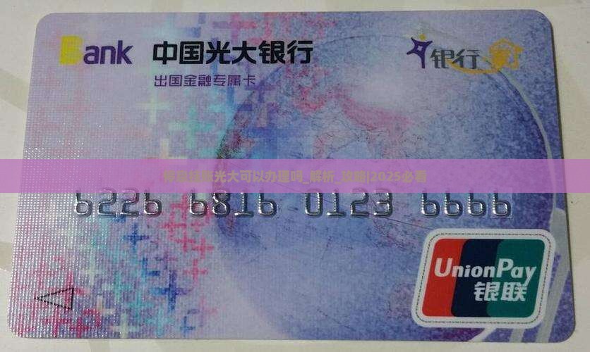 停息挂账光大可以办理吗