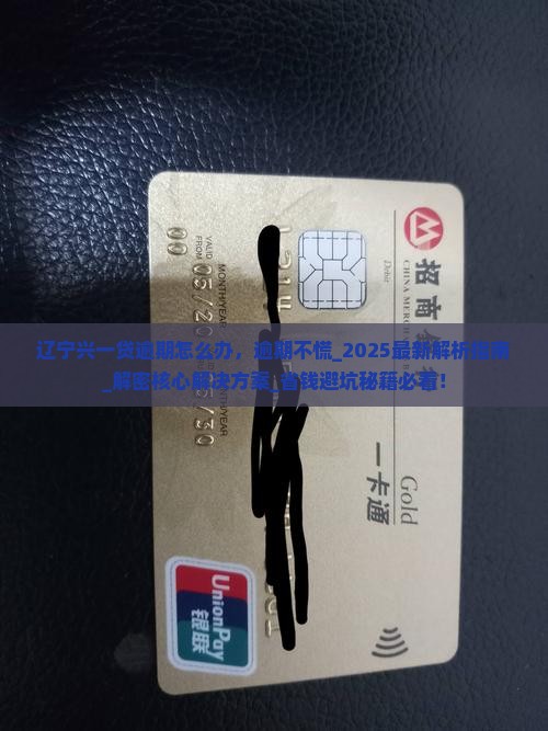 辽宁兴一贷逾期怎么办