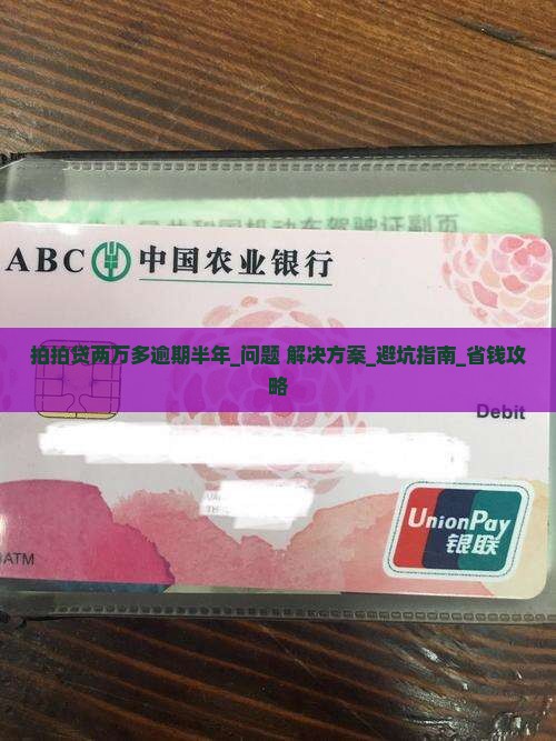 拍拍贷两万多逾期半年应该怎么处理