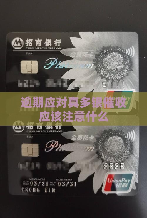 真多银逾期催收应该注意什么