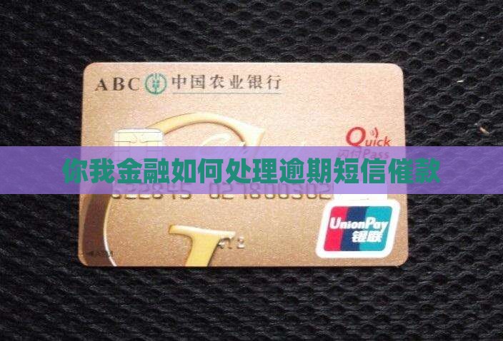 你我金融催款如何有效操作