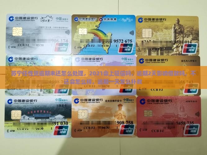 苏宁任性贷逾期未还怎么处理