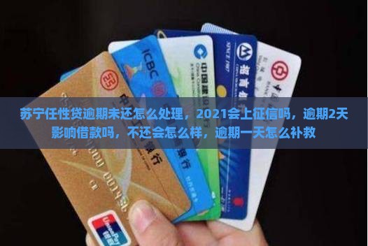 苏宁任性贷逾期未还怎么处理