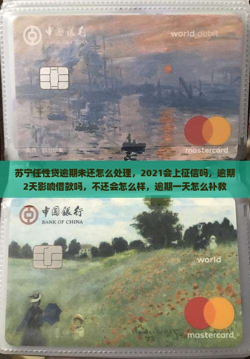 苏宁任性贷逾期未还怎么处理