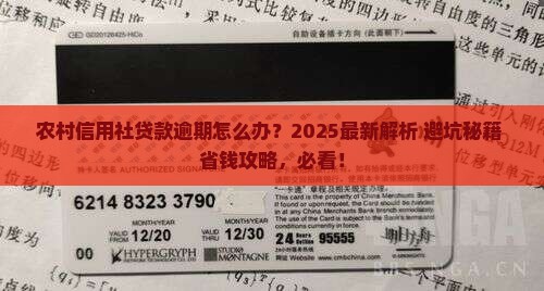 农村信用合作社贷款逾期怎么处理